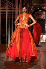 Model walks for Designer Tarun Tahiliani in Delhi on 28th July 2013 (17).jpg